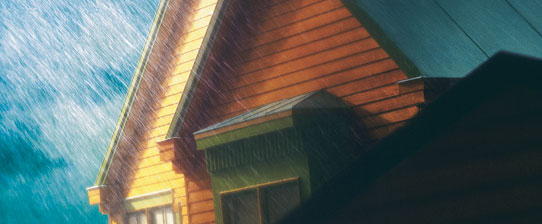 ЗАХИСТ ДЕРЕВИНИ ВІД БІОПОРАЖЕНЬ